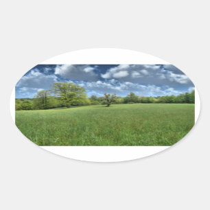 Adesivo Oval Palachian Green Stickers