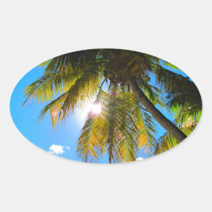 Adesivo Oval Palm Paradise Blue Sky Sunshine