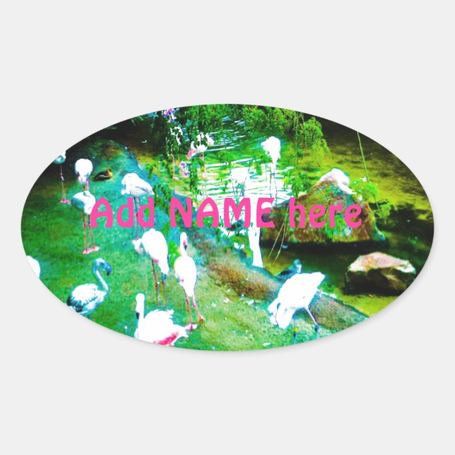 Adesivo Oval Pássaros Flamingo Rosa Personalizados (Frente)