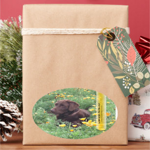 Adesivo Oval Patch Personalizado para Poppy do Chocolate Lab Ca