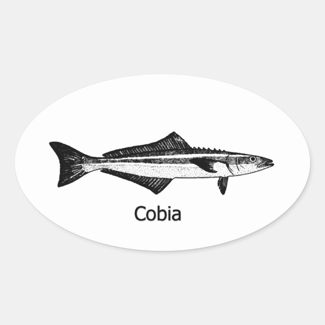 Adesivo Oval Peixe Cobia (Frente)