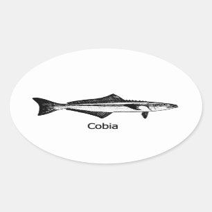Adesivo Oval Peixe Cobia