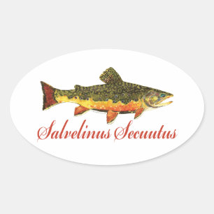 Adesivo Oval Peixes Humorísticos, Pesca, Pesca De Voo