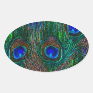 Adesivo Oval Penas de Peacock Vibrantes, Etapa de Estilo