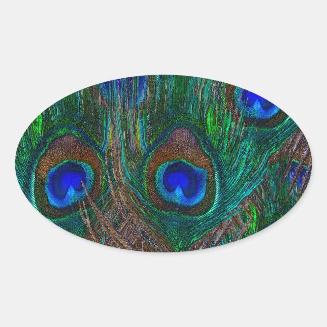Adesivo Oval Penas de Peacock Vibrantes, Etapa de Estilo (Frente)