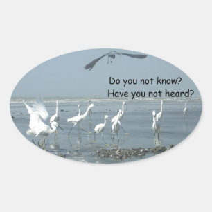 Adesivo Oval Personalizar produto