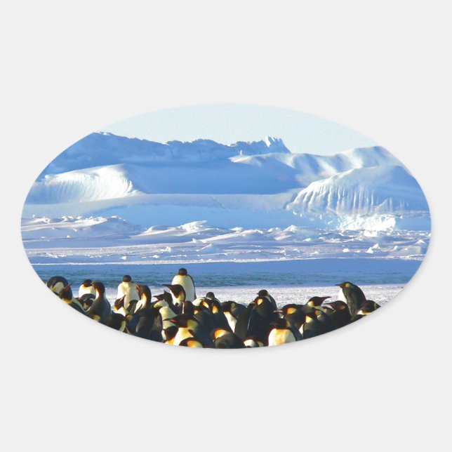 Adesivo Oval Pinguins imperadores (Frente)