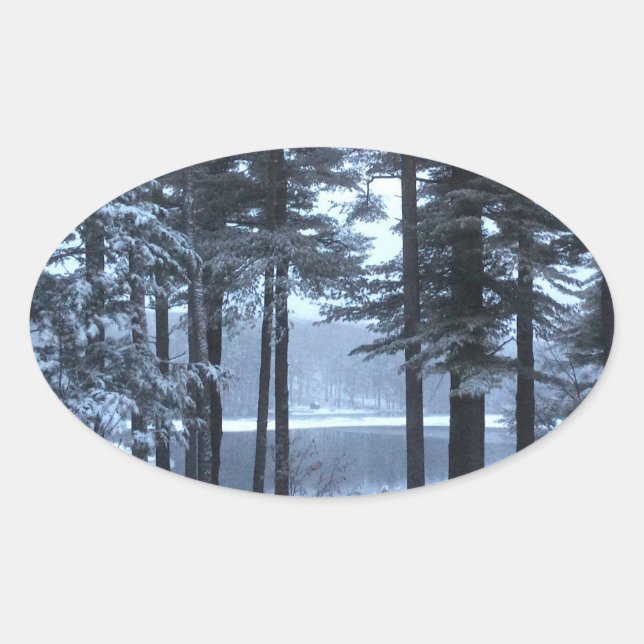 Adesivo Oval Pinheiros Brancos com Luz Azul — (Frente)