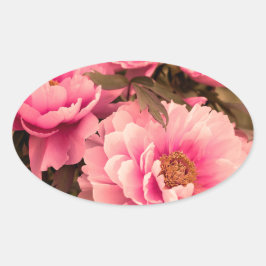 Adesivo Oval Pink  Peony Flower