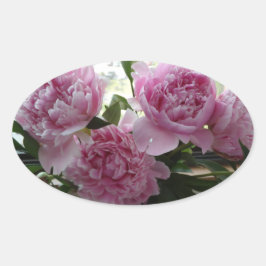 Adesivo Oval Pink Peony Stickers