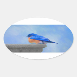 Adesivo Oval Pintura Bluebird - Arte Original para Pássaros