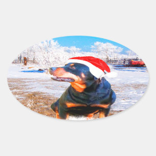 Adesivo Oval Pintura de Natal do Cão Rottweiler