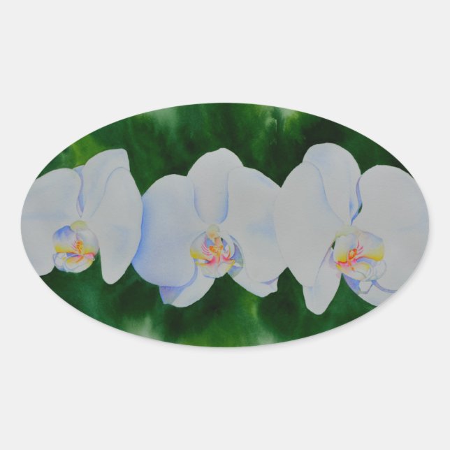 Adesivo Oval Pintura de orquídea branca Elegante tropical