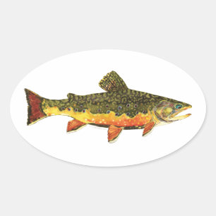Adesivo Oval Pintura de Peixes Brook Trout