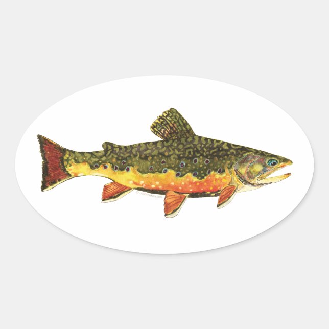 Adesivo Oval Pintura de Peixes Brook Trout (Frente)