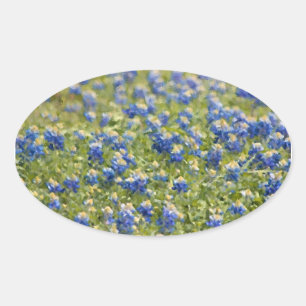 Adesivo Oval Pintura digital de flores silvestres do Texas