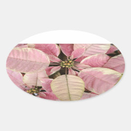 Adesivo Oval Poinsettia Oval Stickers