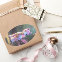 Pôneo Espírito 3D Bonito 10