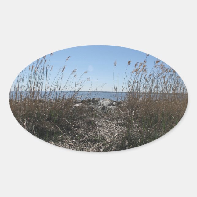 Adesivo Oval Praia Colonial 1 (Frente)