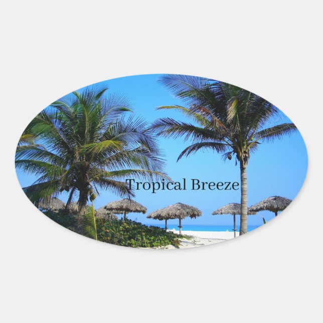 Adesivo Oval Praia Sandy com Palmeiras e Oval de Vista Oceânica (Frente)