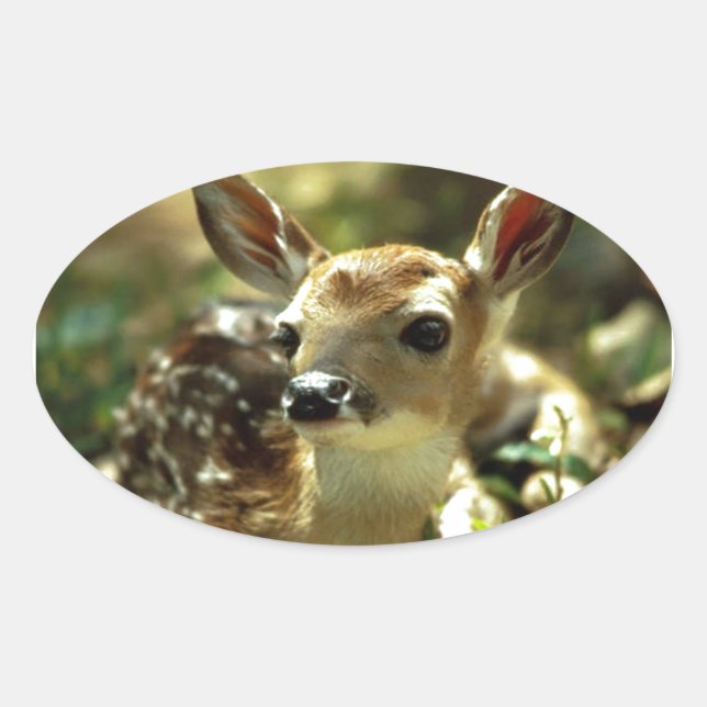 Adesivo Oval Presentes de Baby Deer (Frente)