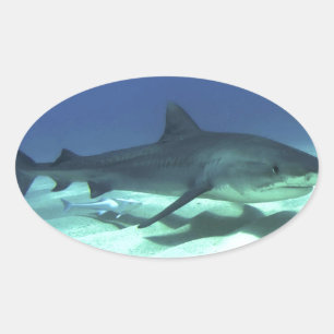 Adesivo Oval Presentes De Destino Do Oceano Tropical De Peixes