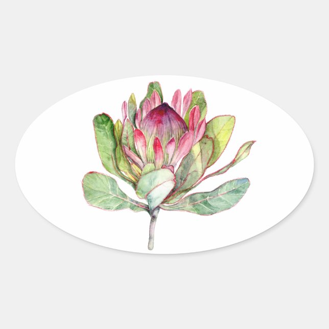 Adesivo Oval Protea Flor (Frente)