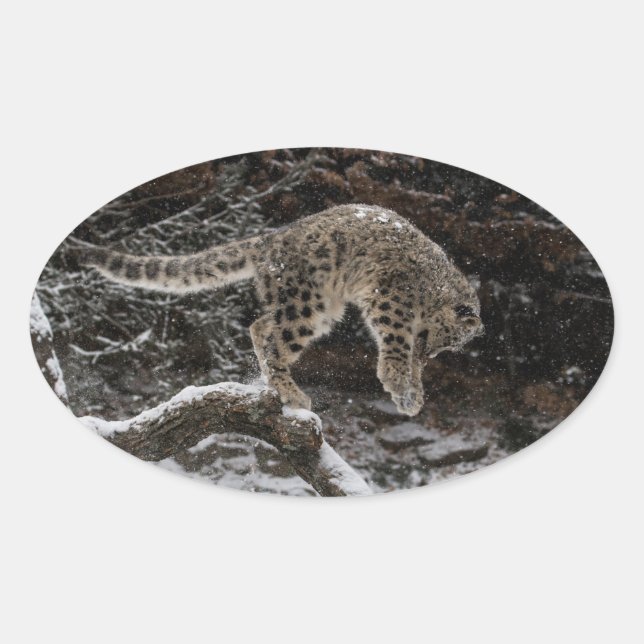 Adesivo Oval Pulseira de Leopardo de Neve (Frente)