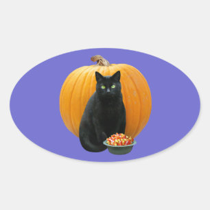 Adesivo Oval Pumpkin de Gato Negro