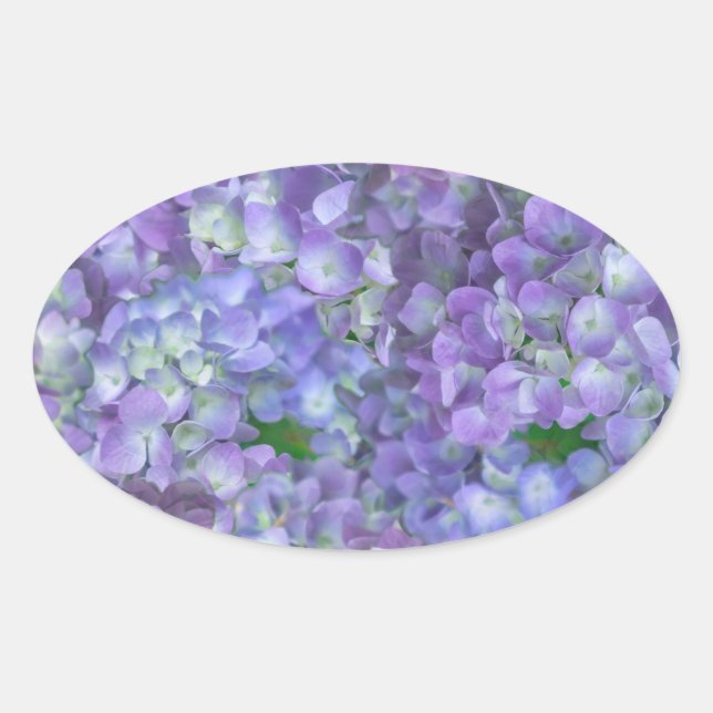 Adesivo Oval Purple hydrangea flowers (Frente)