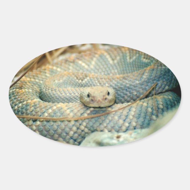 Adesivo Oval Rattlesnake Stickers (Frente)