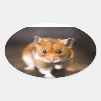 Adesivo Oval Ratty, o hamster