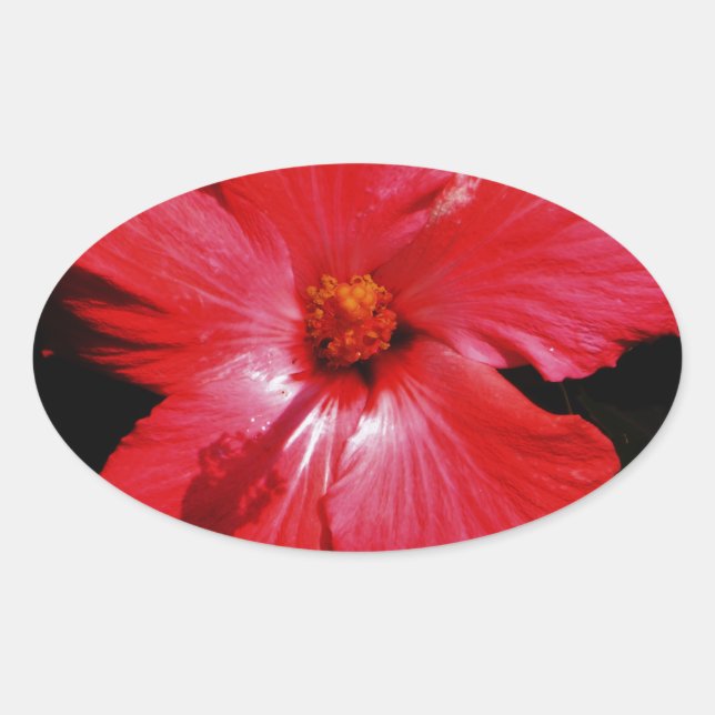 Adesivo Oval Red Hibiscus (Frente)
