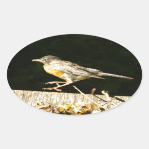 Adesivo Oval Red Robin Bobbin