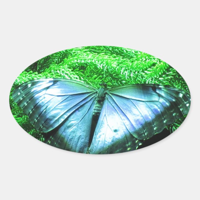 Adesivo Oval Respiração Tomando Borboleta Azul Iridescente (Frente)