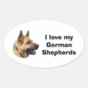 Adesivo Oval Retrato de cão German shepherd alsaciano