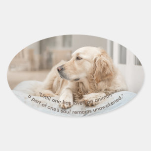 Adesivo Oval Retriever de ouro com Vinheta Oval de Cota