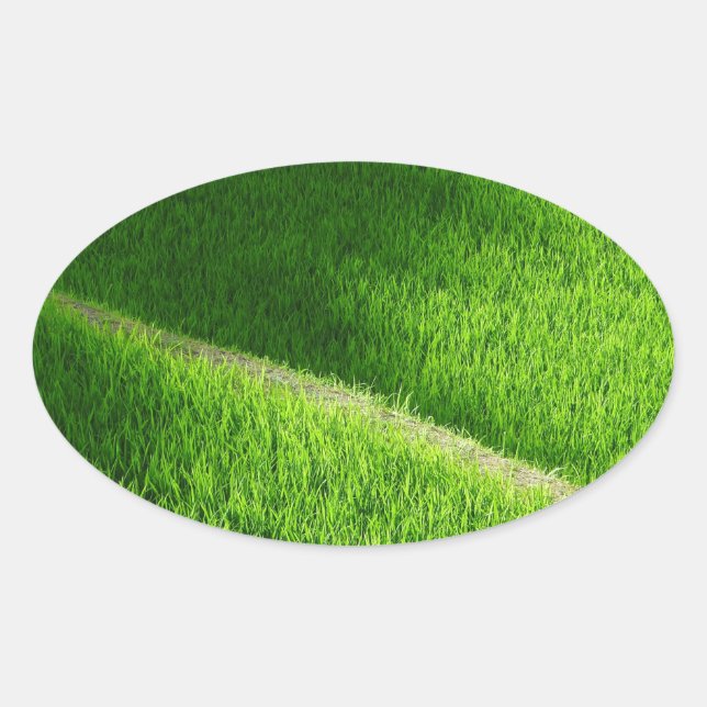 Adesivo Oval Rice Terraces Yamada's Rice Fields Japão (Frente)