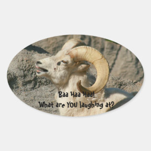 Adesivo Oval Rindo de Carneiro Rocky Mountain Bighorn