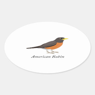 Adesivo Oval Robin Americano