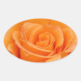Adesivo Oval Rosa laranja