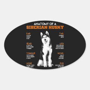 Adesivo Oval Rouco   Anatomia Dos Cães Husky Siberianos
