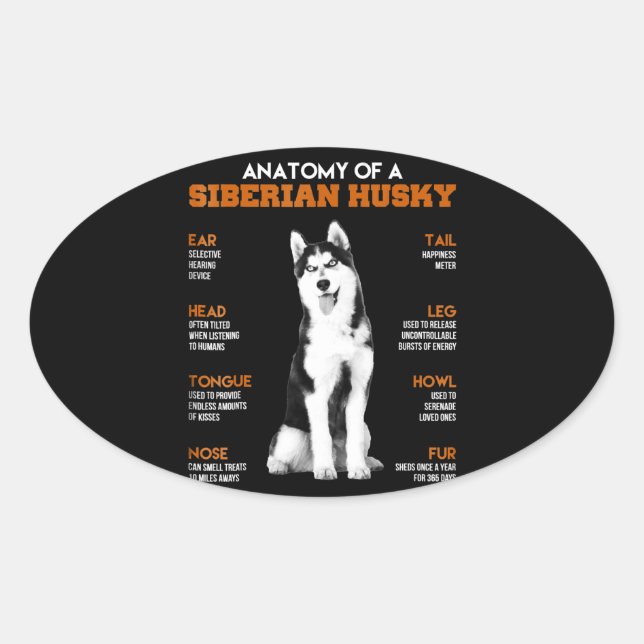 Adesivo Oval Rouco | Anatomia Dos Cães Husky Siberianos (Frente)