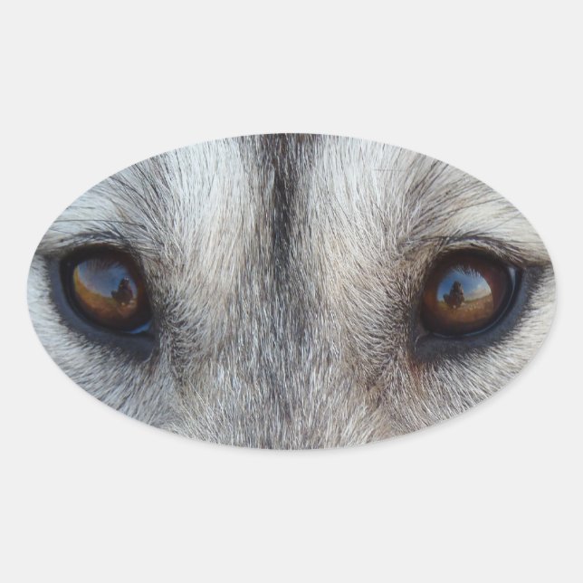 Adesivo Oval Rouco Stickers Siberian Husky Wolf Pup Stickers (Frente)
