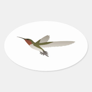 Adesivo Oval Ruby Throated Hummingbird