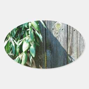 Adesivo Oval Sage Barn-wood, recortada recentemente