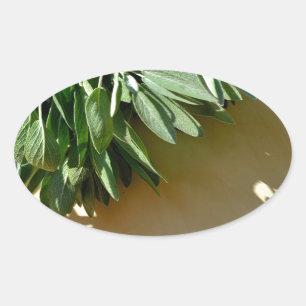 Adesivo Oval Sage fresco