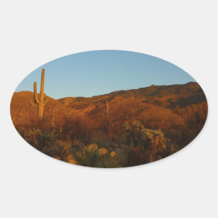 Adesivo Oval Saguaro Sunset I Arizona Desert Landscape