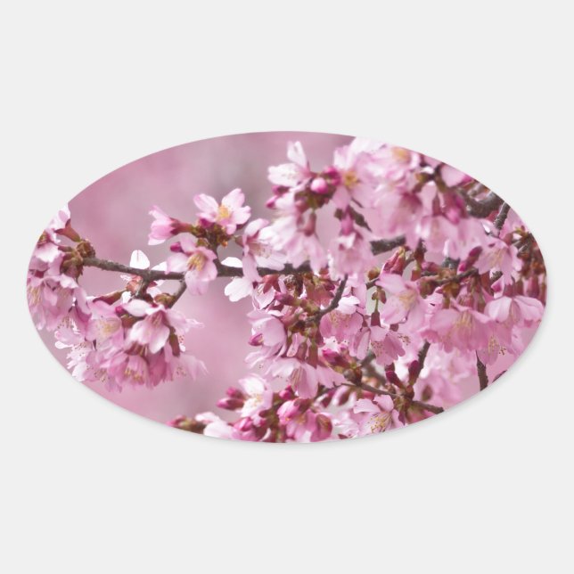 Adesivo Oval Sakura Cherry Blossoms Pastel Pink Camadas (Frente)