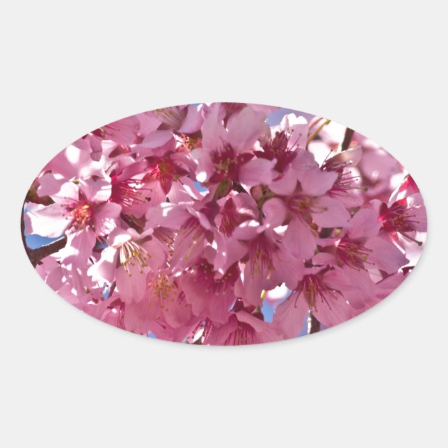 Adesivo Oval Sakura Cherry Blossoms Red Stars (Frente)